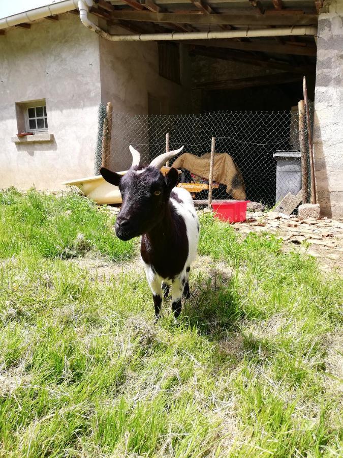 Yourte Mongole Veritable Montcaret Zewnętrze zdjęcie